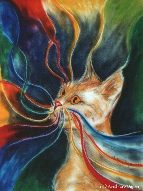 Die ersten Regenbogenkatzen entstanden vor mehr als 30 Jahren